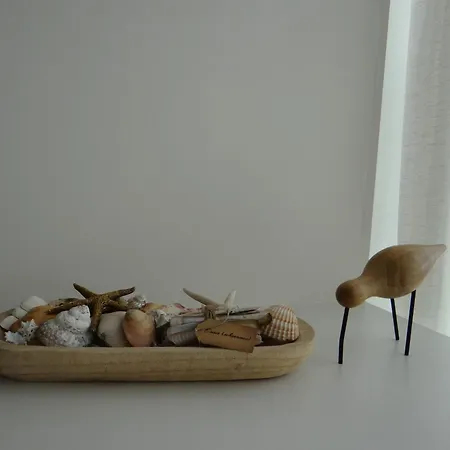 Prachtig Met Ruim Uitzicht En Privegarage- In Hartje 니우포르트