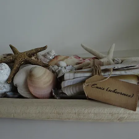 Prachtig Met Ruim Uitzicht En Privegarage- In Hartje * 니우포르트